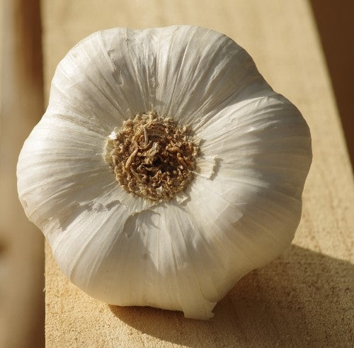 Knoblauch Weiß 1 kg